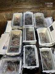 한치 갈치 속에서도 50여수까지//먼바다갈치(16석,18석) 화,수,목~