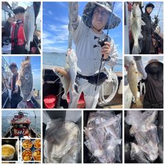 26년 7월19일 대천항 럭키세븐호 "백조기-가족낚시" 함께 해주신 18분의 조사님들께 감사드리며, 고생많으셨습니다 (feat. 준범이와함께 사진