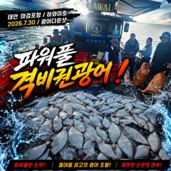 [광어조황] 7.30 하와이호 광어다운샷 조황소식 사진