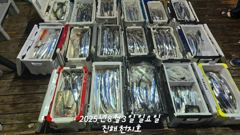 7월 31일 부터 준내만 갈치,텐빈 출항합니다!! 사진