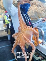 8월1일-야간문어 실시간 조황 사진