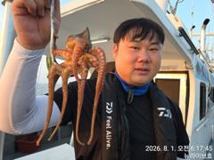 1일, 군산문어~본격 시즌 시작~~~주,야간문어 매일 갑니다~군산 뉴라이브호 사진