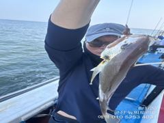 8/1, 군산백조기~잘나오고 잇어요~실시간~~ 군산 뉴빅토리호 사진