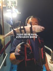 31일, 한밤에 힐링~! 왕고등어~오늘도 갑니다~전갱이등~실시간~"싸이즈 끝내주는 고등어"~고등어,삼치,등~~~군산 챔피언호 사진