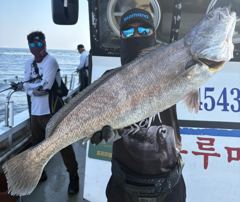 [격포블루마린호] 8/1 생미끼 조황 사진