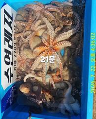 7월22일 조황 사진