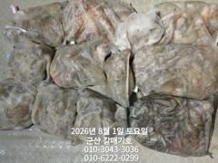 7월31일 금요일 갈매기호 야간 조황 사진