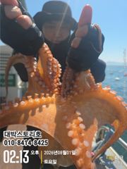 사량도 돌문어 아직도 hot~ 사진