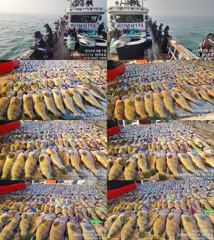 ♥ 붉바리들..이정도는 잡아봐야지요 초대박 붉바리조황입니다[2026년08월01일] ◎ 해마루호가 뜨는이유? 조황때문이죠 ◎ 핵심포인트: 바로진입.. 바로히트.. ▣ 차원이 다른 조황으로 모십니다 ▣ 요즘 붉바리낚시가 대세입니다 사진