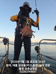 통영 금정호 문어손맛 좋습니다 내일 오전타임 자리있어요 사진