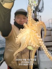 1일, 밤에 낚이는 군산문어~~실시간~야간문어 매일 갑니다~군산 포세이돈호 사진