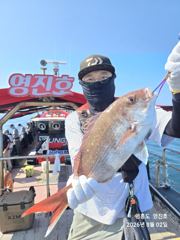 8월2일 참돔(먼바다) 타이라바~  조황 사진