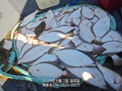 [광어조황] 8/2 태풍호 광어다 사진