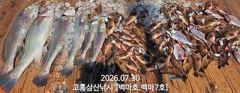 [민어] [나로도 외수질 시즌!] 대형민어, 붉바리 조황!! [화,수 자리여유~문의010-4848-0776] 사진