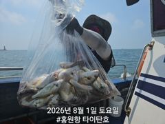 [홍원항 타이탄호] 8월1일(토) 사이즈 좋은 백조기 가 따박따박~ 사진
