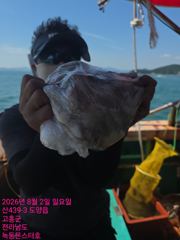 8월2일 팀보스선단 문어 조황 사진