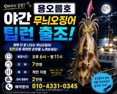 8/2  야간 무늬오징어(팁런) 출조합니다.
