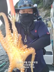 2일, 밤에 낚이는 군산문어~문어 본격시즌~~실시간~~야간문어 매일 갑니다~군산 포세이돈호 사진