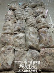 8월2일 군산갈매기호 야간문어출조 점차점차흥미진진 기대만땅 사진