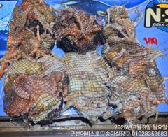 ♡어비스호~ 2일 소수인원 10분 야간문어 조황♡ 사진