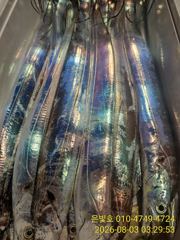 먼바다 갈치텐빈 3지4지 쭉쭉뽑아내기! 8월 쭉 예약가능 사진