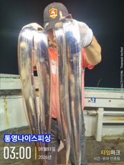 통영나이스피싱!!! 6지급 왕칼치부터 씨알좋은마릿수들 사진