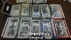 2026.08.03일 준내만 갈치 조황입니다. 사진