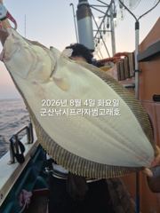 8/4, 생미끼 대광어~ ~싸이즈 좋아요~~대광어, 농어, 우럭 다잡아 조황~내일도 갑니다~~ 군산 범고래호 사진