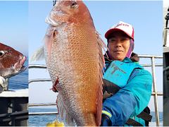 백/쭈/갑조황 - 26년8월2일 홍원항 백두산호 백조기 조황입니다.. - 홍원항 백두산호,배낚시,바다낚시 사진