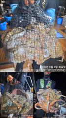 ♡어비스호~ 3일 야간문어 15인조사님들과 함께~♡ 사진