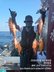 8/4일, 먼침선, 개우럭,열기~쌍걸이등~싸이즈 굿~쿨러조황~오늘도 고등어,삼치,갈치 갑니다~강추~군산 하이원호