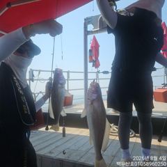 26년8월4일 홍원항 백두산호 백조기 조황입니다.. 사진