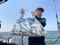 [백조기] 피싱매니아 2026년8월3일 백조기 수조기 조황 사진