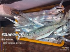 8월4일 입항후  사진