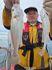 물잘가는 사리물때!!  대왕백조기나갑니다(5만원)10일(월)부터13일(목)까지 사진