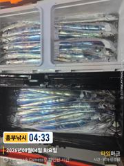 8월4일 흥부 갈치  모닝 브리핑 수욜 낼 까지 출조  사진