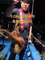 삼천포 마린보이 8. 4. 화요일 덩치 야간문어 뜯고 왔습니다. 사진