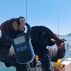 8월2일 팔포1호 키로오바 5수 포획성공하고 마무리합니다 ((돌문어사냥은 계속 이어집니다)) 사진