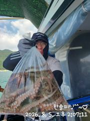 8월 5일 (주간) 문어 조황