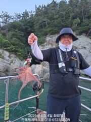 문어] 오늘출항확정 예약가~2.55k,2.0k,1.4k,1.39k 줄줄이조황~ 사진