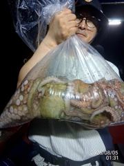 돌문어 2kg외 마릿수까지 대박!조황! 사진