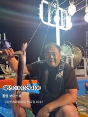 실 시간 보아스호 사진