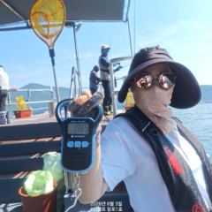 8월3일 팔포1호 왕대가리 돌문어 1.96kg 포획성공하고 마무리합니다 ((돌문어사냥은 계속 이어집니다)( 사진
