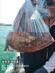 수요일 문어 조황입니다 내일 여유있습니다 사진