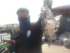 자연식 조황 - 삼길포 만석좌대 8월 5일 자연식 조황 입니다 - 삼길포 만석좌대낚시 사진