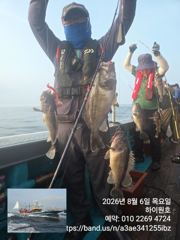  8/6일, 먼침선, 빵빵한 개우럭,~쌍걸이등~싸이즈 굿~실시간~ 생미끼 8월 한달 평일 선비 이벤트 선비 8월 평일(8만원)~오늘도 고등어,삼치,갈치 갑니다~강추~군산 하이원호 사진