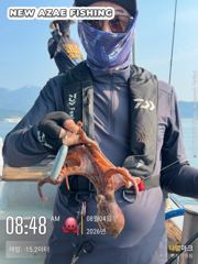 뉴아재피싱 오늘 야문1자리 내일 주간문어 황제낚시 가능! 사진