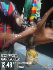 돌문어 야간조황 ~ 시원하게 다녀왔습니다~ 사진