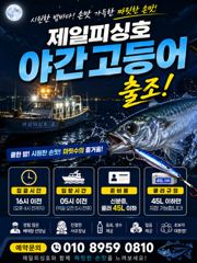 ⭐군산제일피싱호 야간고등어 출항⭐낼부터여유자리 사진