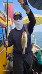 지렁이 맛나보이게 자알 끼우시고 기다리시면 후두둑~!! 백조기배낚시 사진